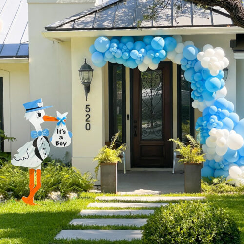 Pink/Blue Stork for Birth Announcement (Generic Bundle)